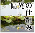 �Ό������Y�̎d�g��